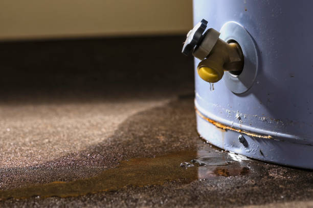 Best Basement water damage restoration  in Centereach, NY