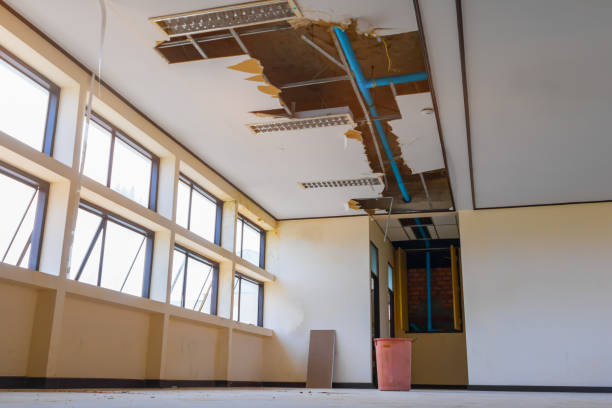 Best Sewage cleanup and water damage restoration  in Centereach, NY