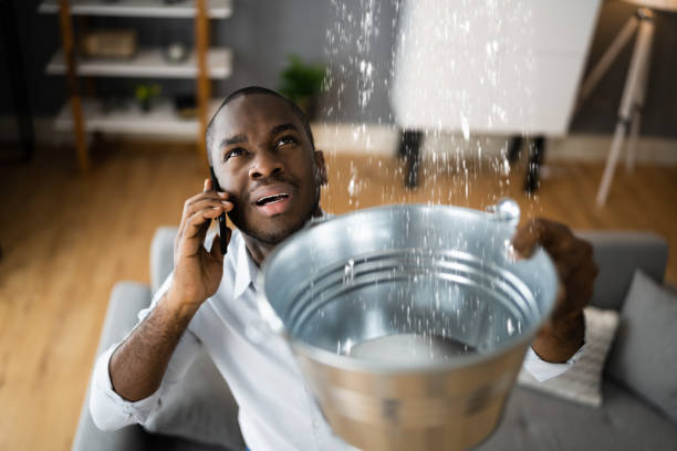 Best Basement water damage restoration  in Centereach, NY