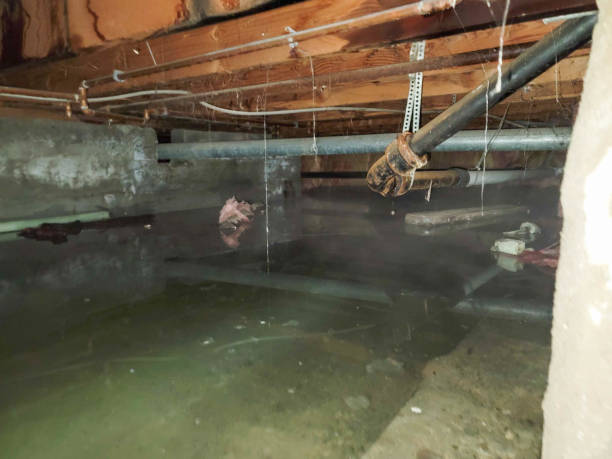Best Ceiling water damage repair  in Centereach, NY
