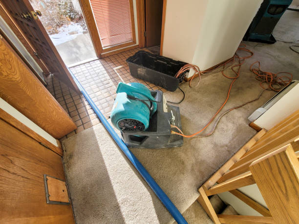 Best Emergency water extraction  in Centereach, NY