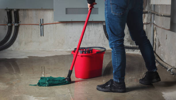 Best Flooded house restoration  in Centereach, NY