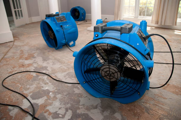 Best Local water damage restoration  in Centereach, NY