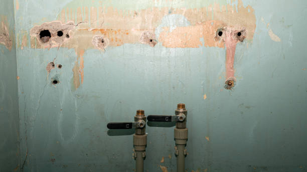 Best Residential water damage restoration  in Centereach, NY