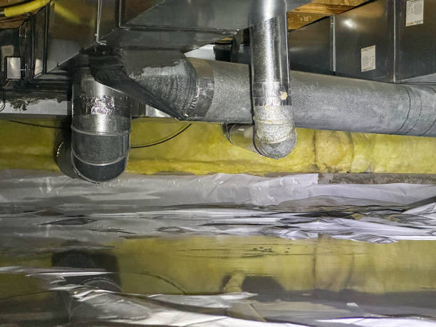 Best Professional water damage repair  in Centereach, NY