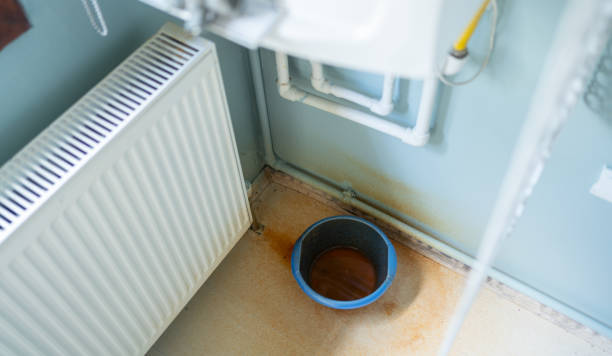 Best Flood restoration services  in Centereach, NY
