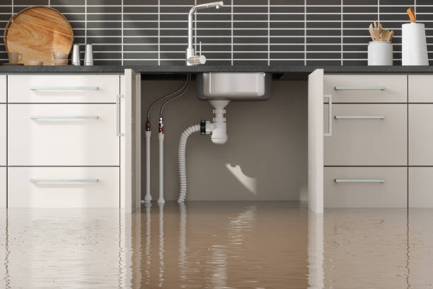 Best Water damage contractors near me  in Centereach, NY