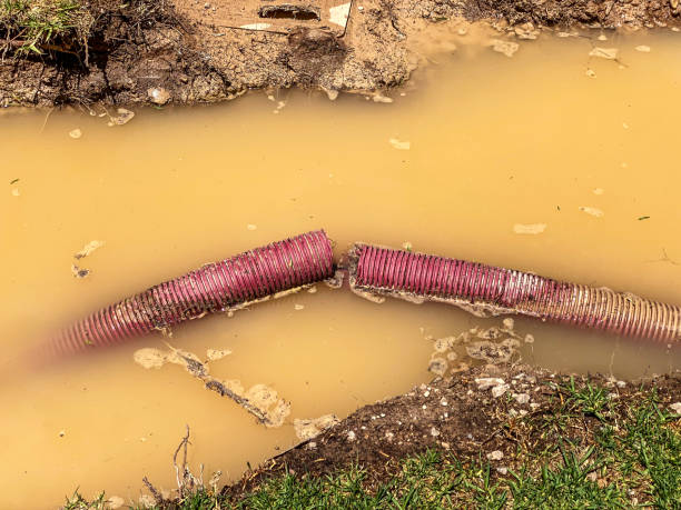 Best Flood damage cleanup  in Centereach, NY