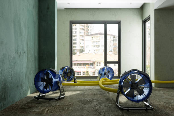 Best Fire Damage Restoration  in Centereach, NY